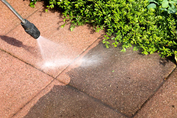 Best Pressure Washing Driveway  in Parkland, FL